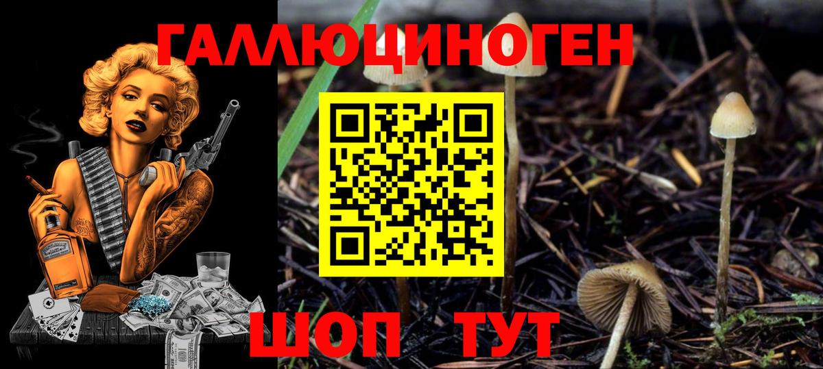 Галлюциногенные грибы Magic Shrooms Дубна
