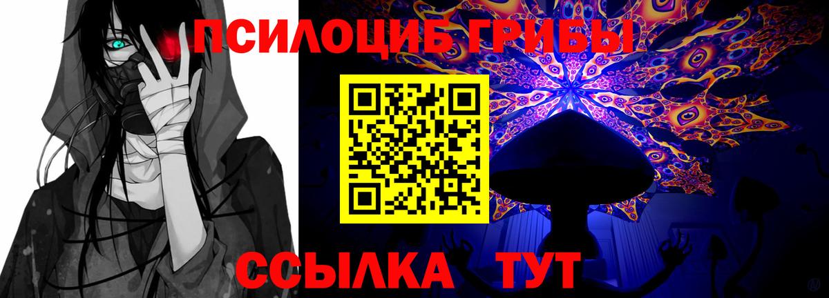 Дубна  Псилоцибиновые грибы Psilocybe  Галлюциногенные грибы мухоморы  Вход с VPN 